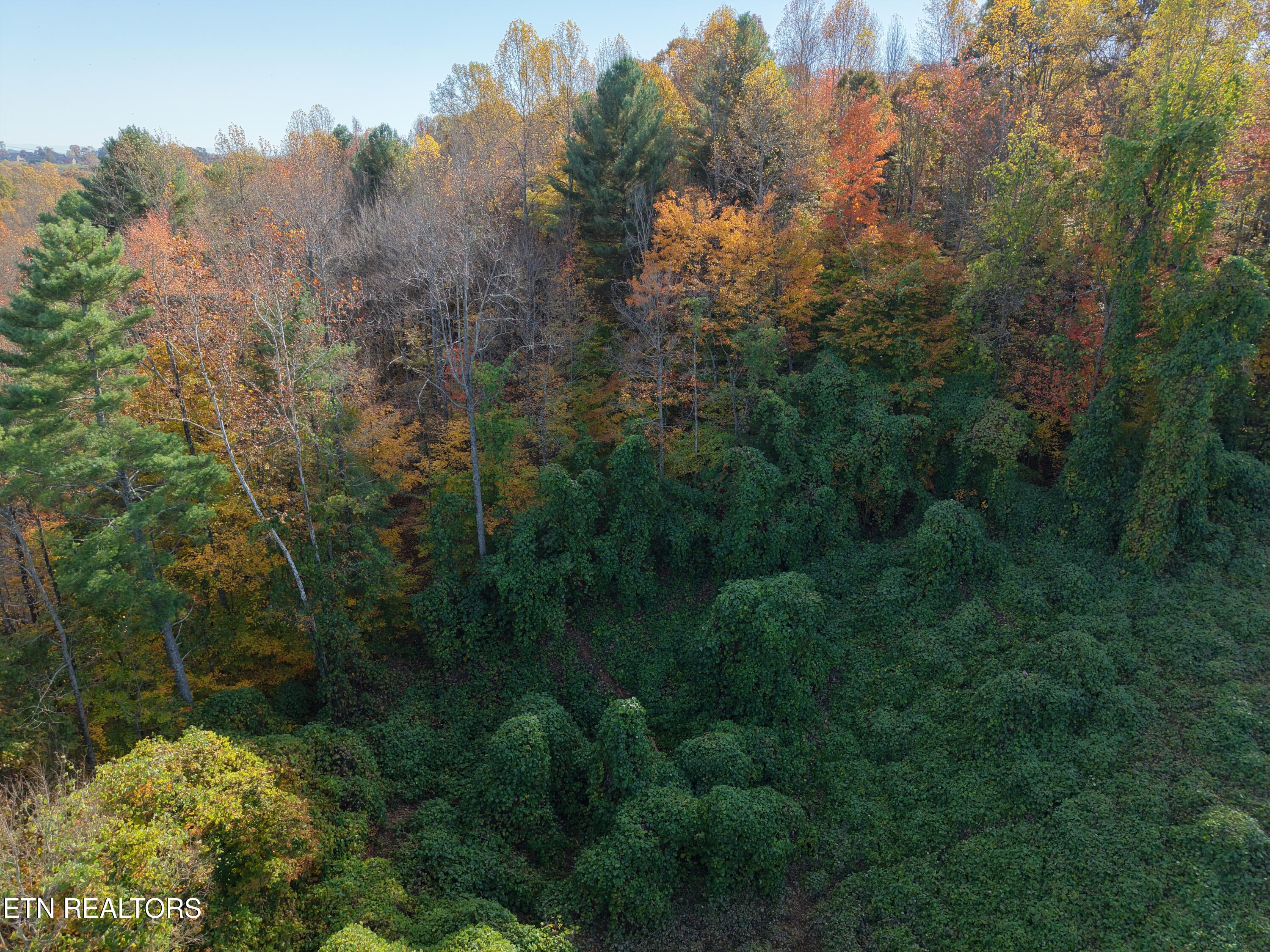 8548 Zinc Road Knoxville, TN 37938 - Photo 9 of 10 DJI_20251105140930_0010_D