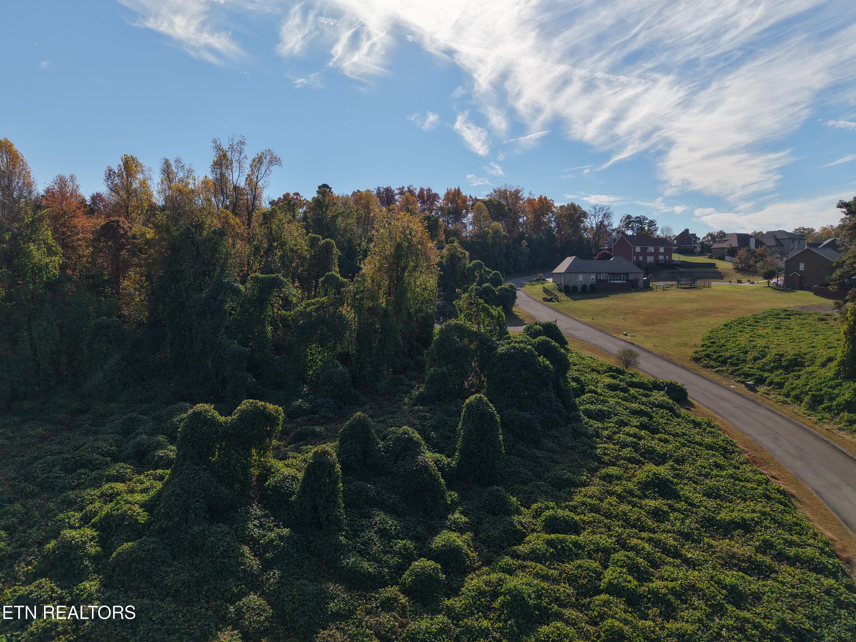 8548 Zinc Road Knoxville, TN 37938 - Photo 10 of 10 DJI_20251105141712_0019_D