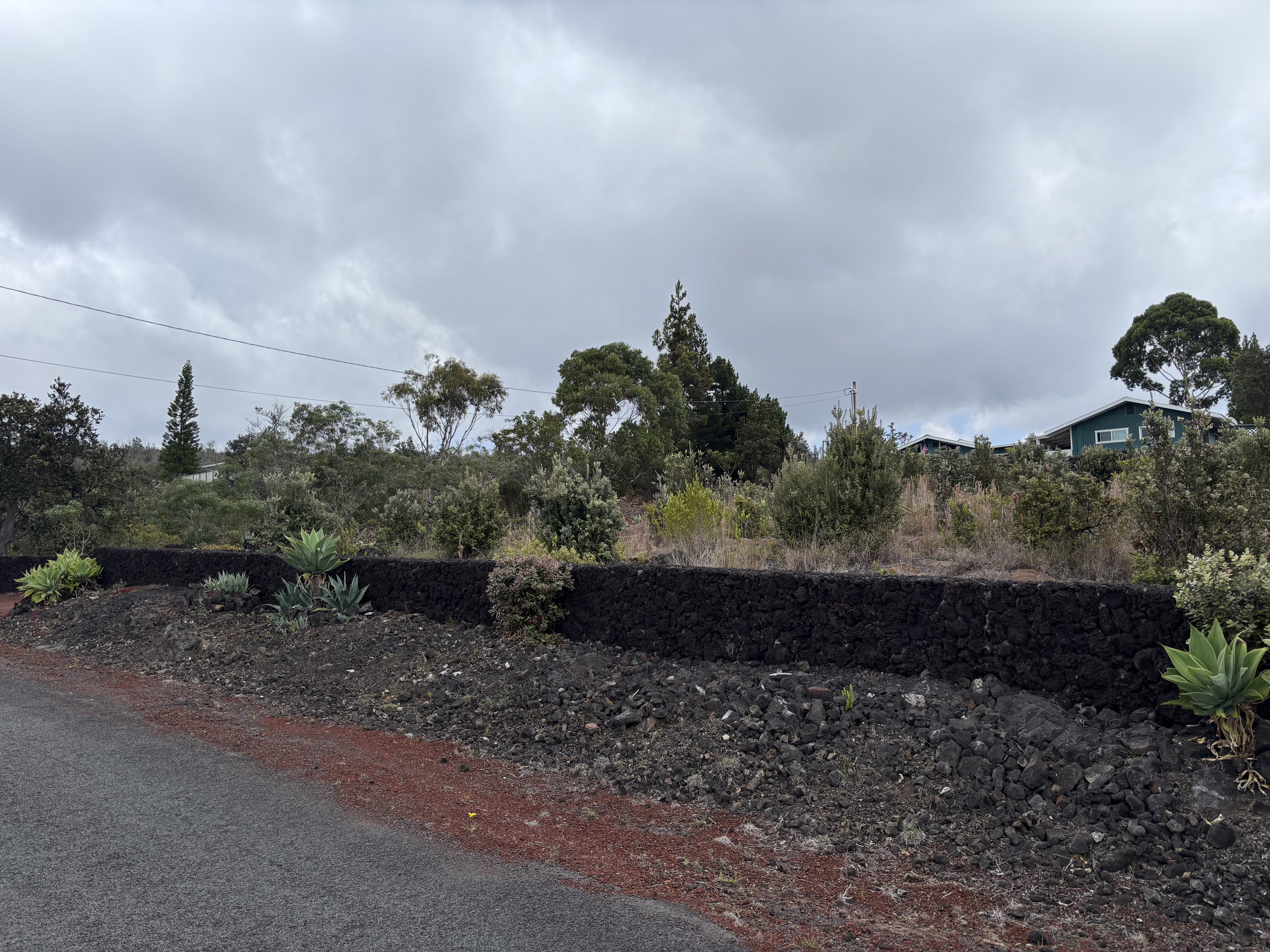 92-8564 Koa Lane Ocean View, HI 96704 - Photo 27 of 30 a view of a yard