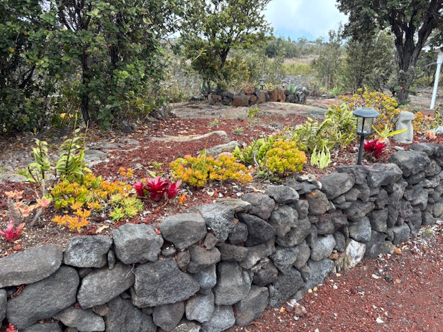 92-8564 Koa Lane Ocean View, HI 96704 - Photo 6 of 30 a view of a flowers in a yard