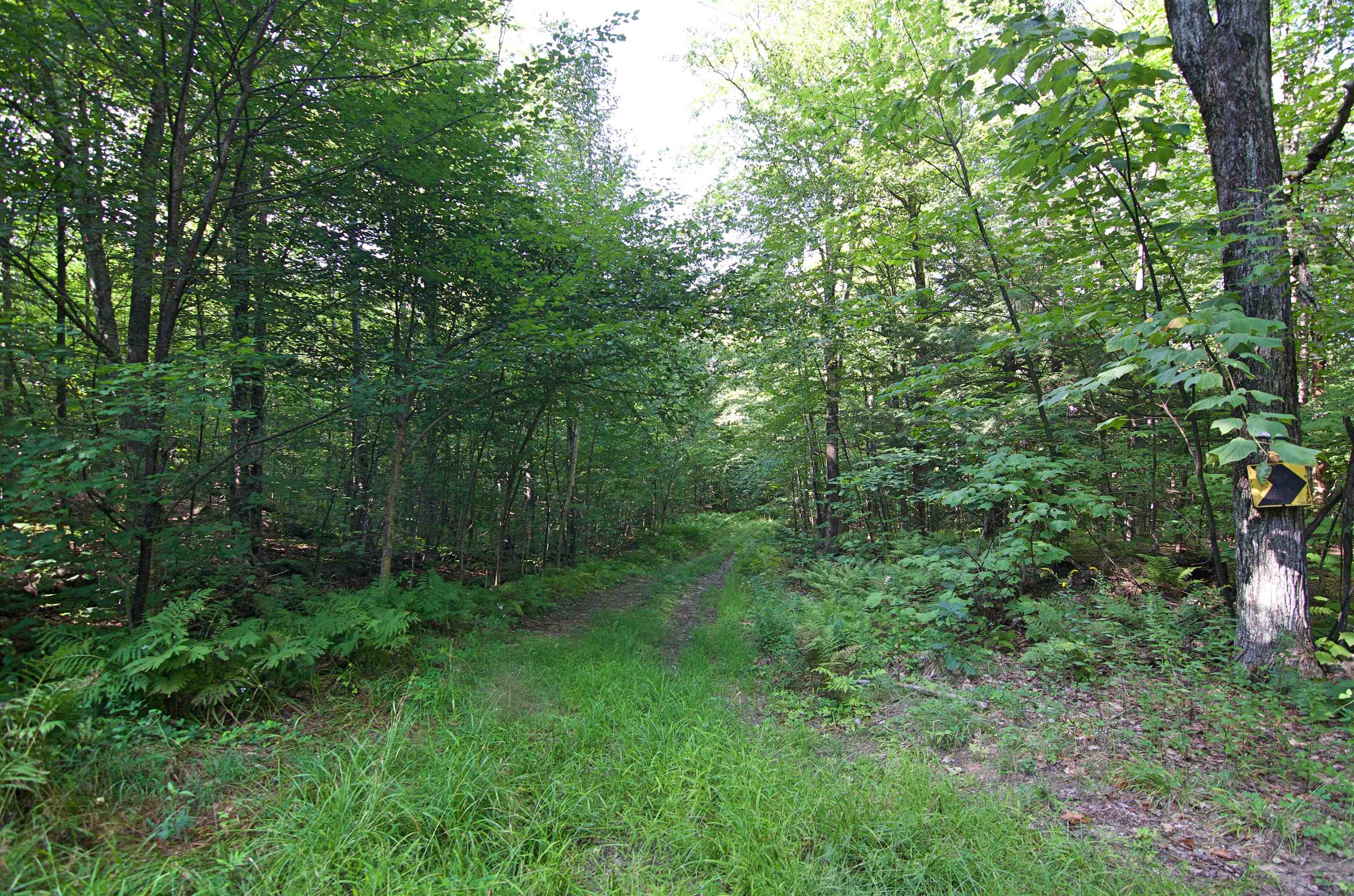 0 Twist Hill Road Andover, NH 03216 - Photo 1 of 12