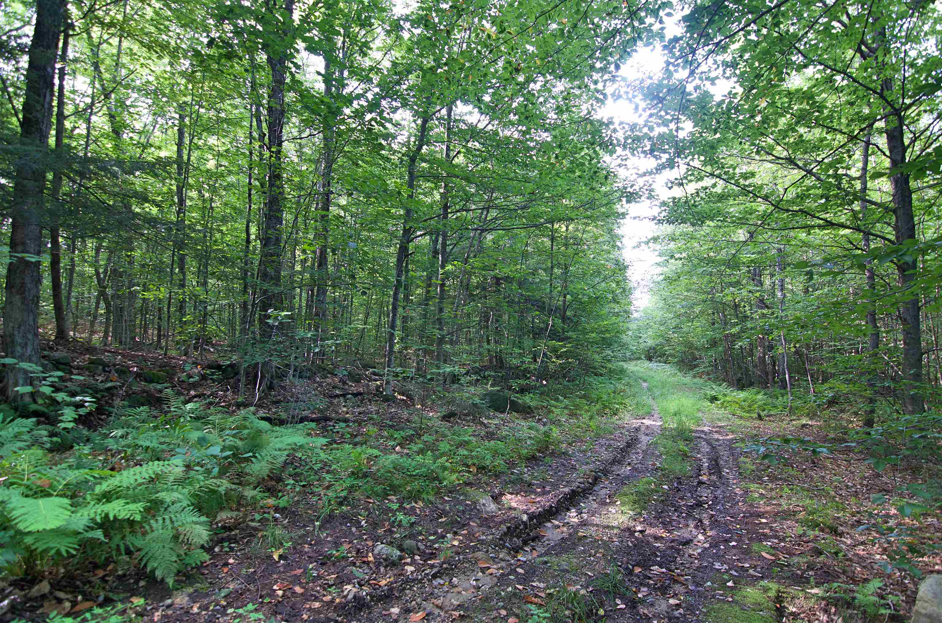 0 Twist Hill Road Andover, NH 03216 - Photo 2 of 12