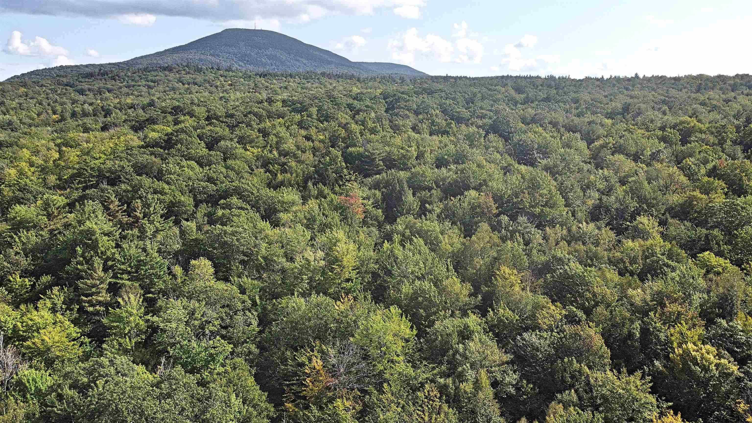 0 Twist Hill Road Andover, NH 03216 - Photo 11 of 12