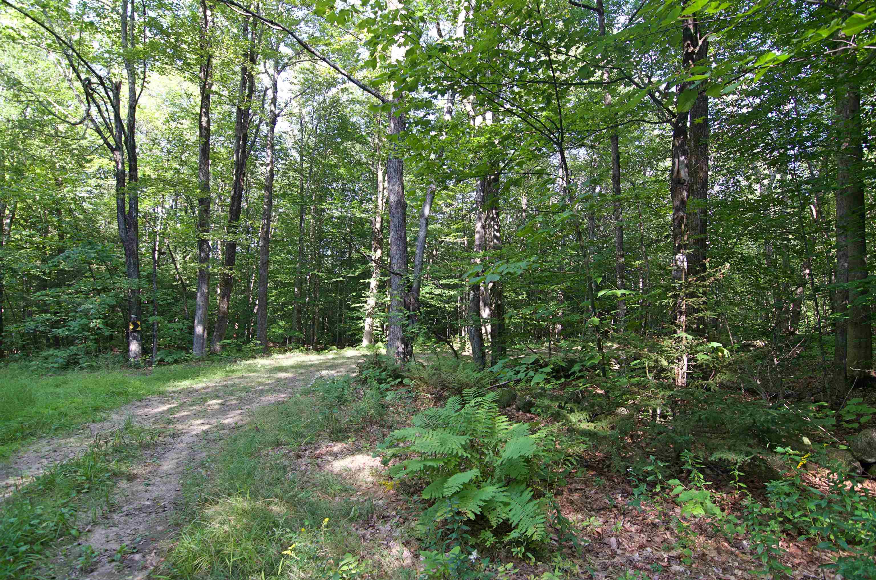 0 Twist Hill Road Andover, NH 03216 - Photo 3 of 12
