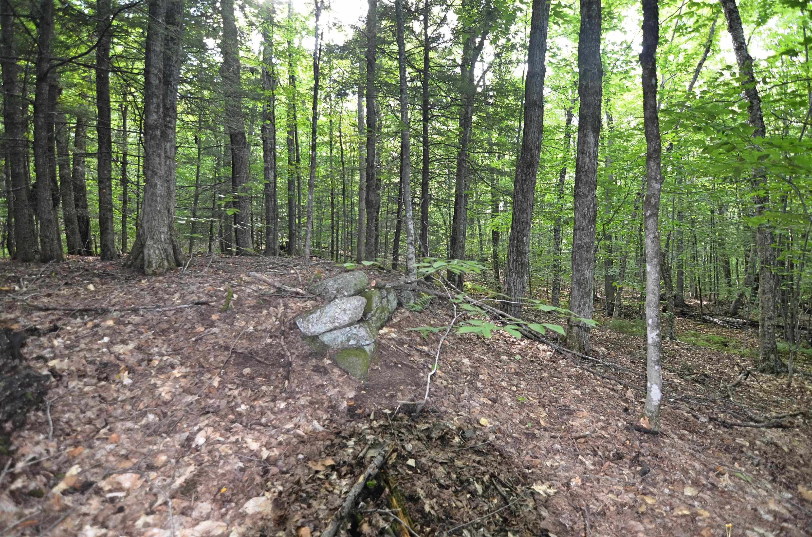 0 Twist Hill Road Andover, NH 03216 - Photo 5 of 12