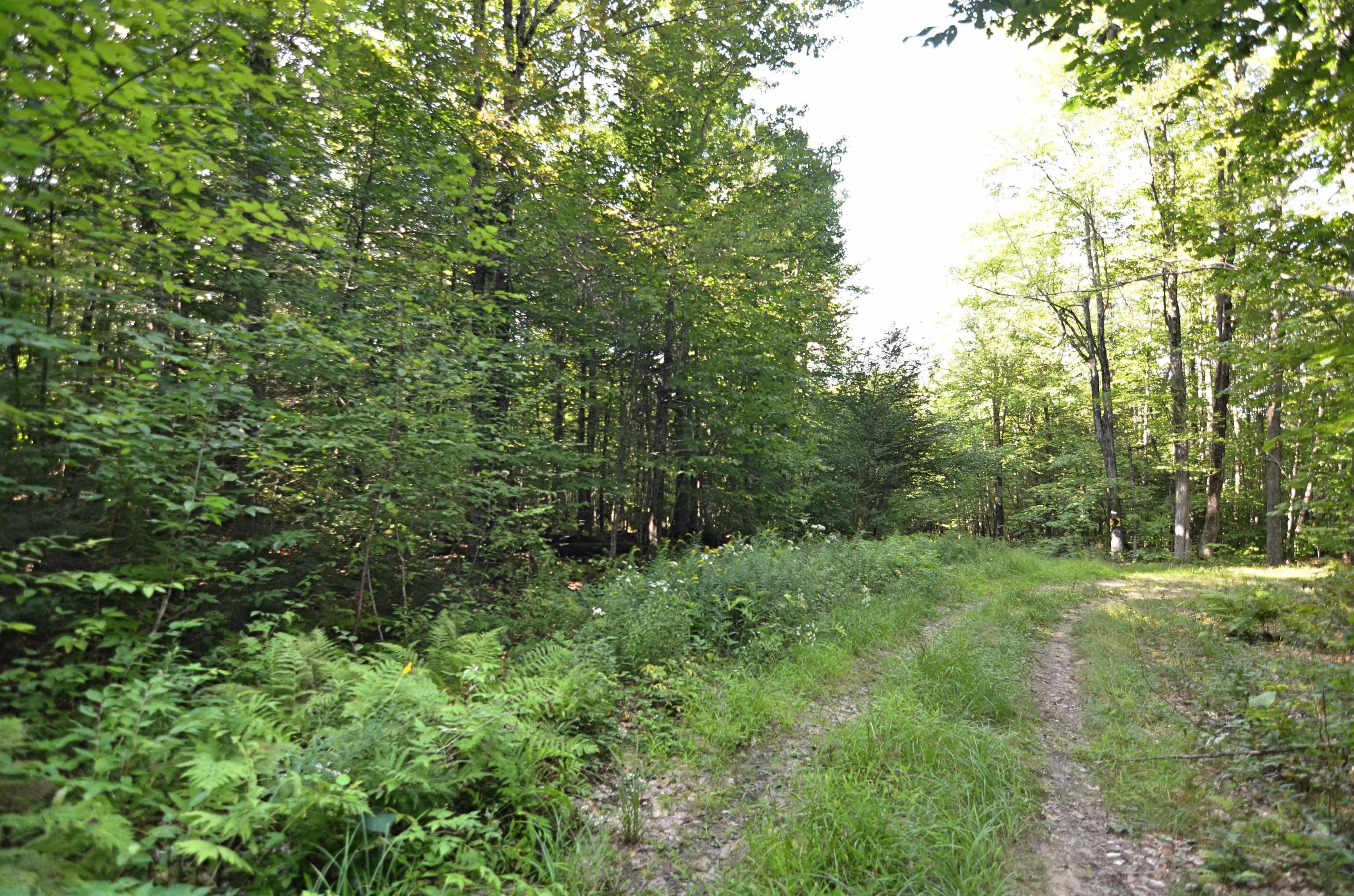 0 Twist Hill Road Andover, NH 03216 - Photo 6 of 12