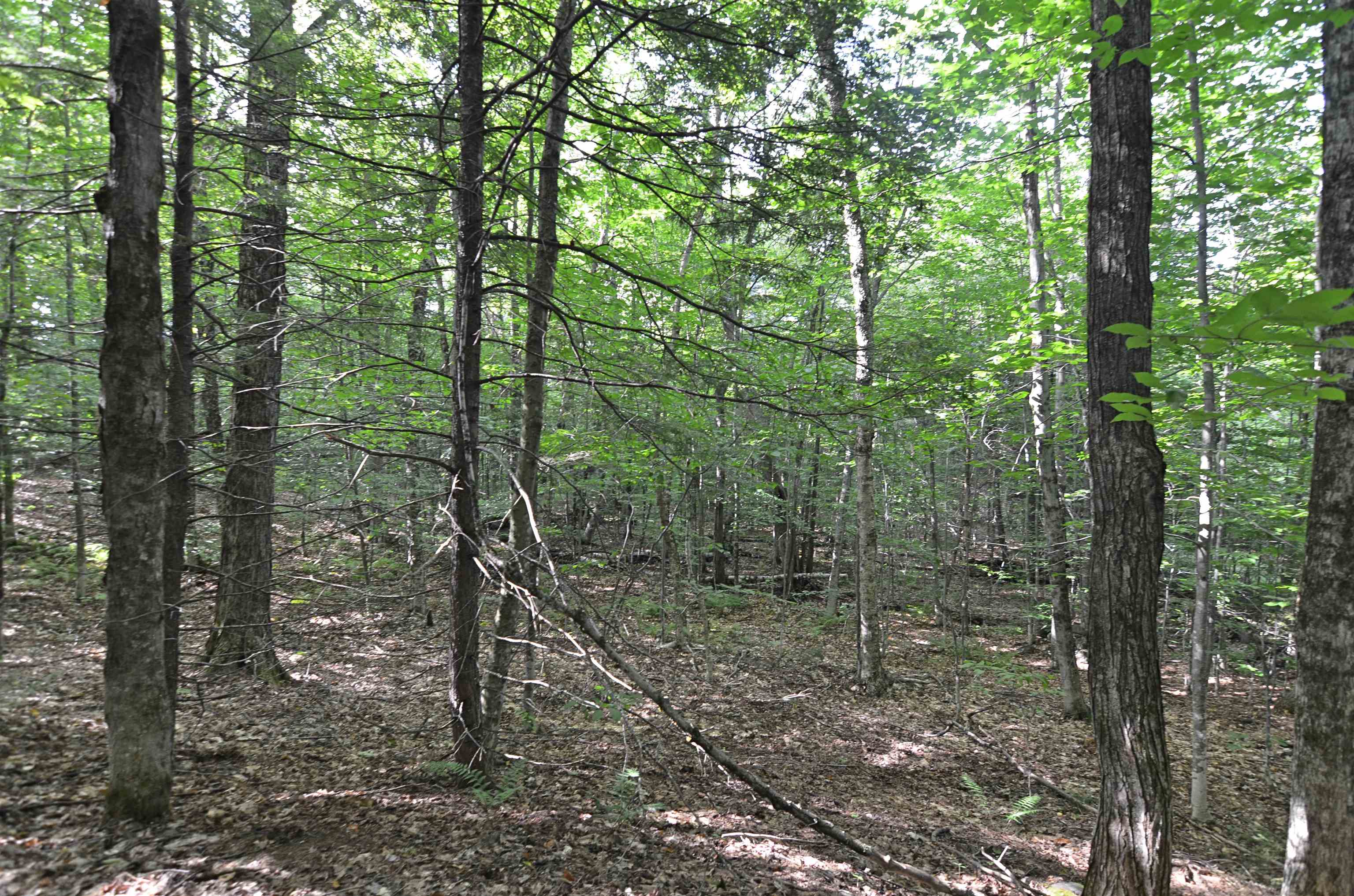 0 Twist Hill Road Andover, NH 03216 - Photo 7 of 12