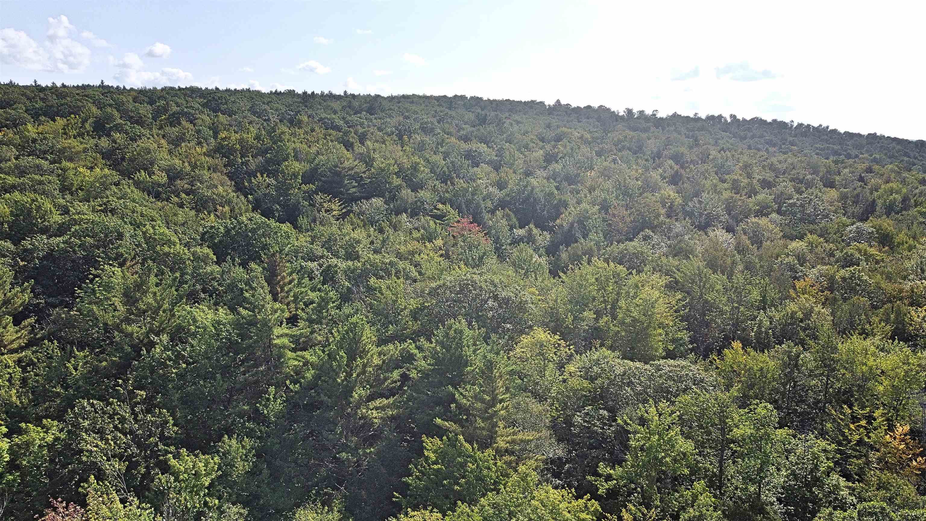 0 Twist Hill Road Andover, NH 03216 - Photo 8 of 12