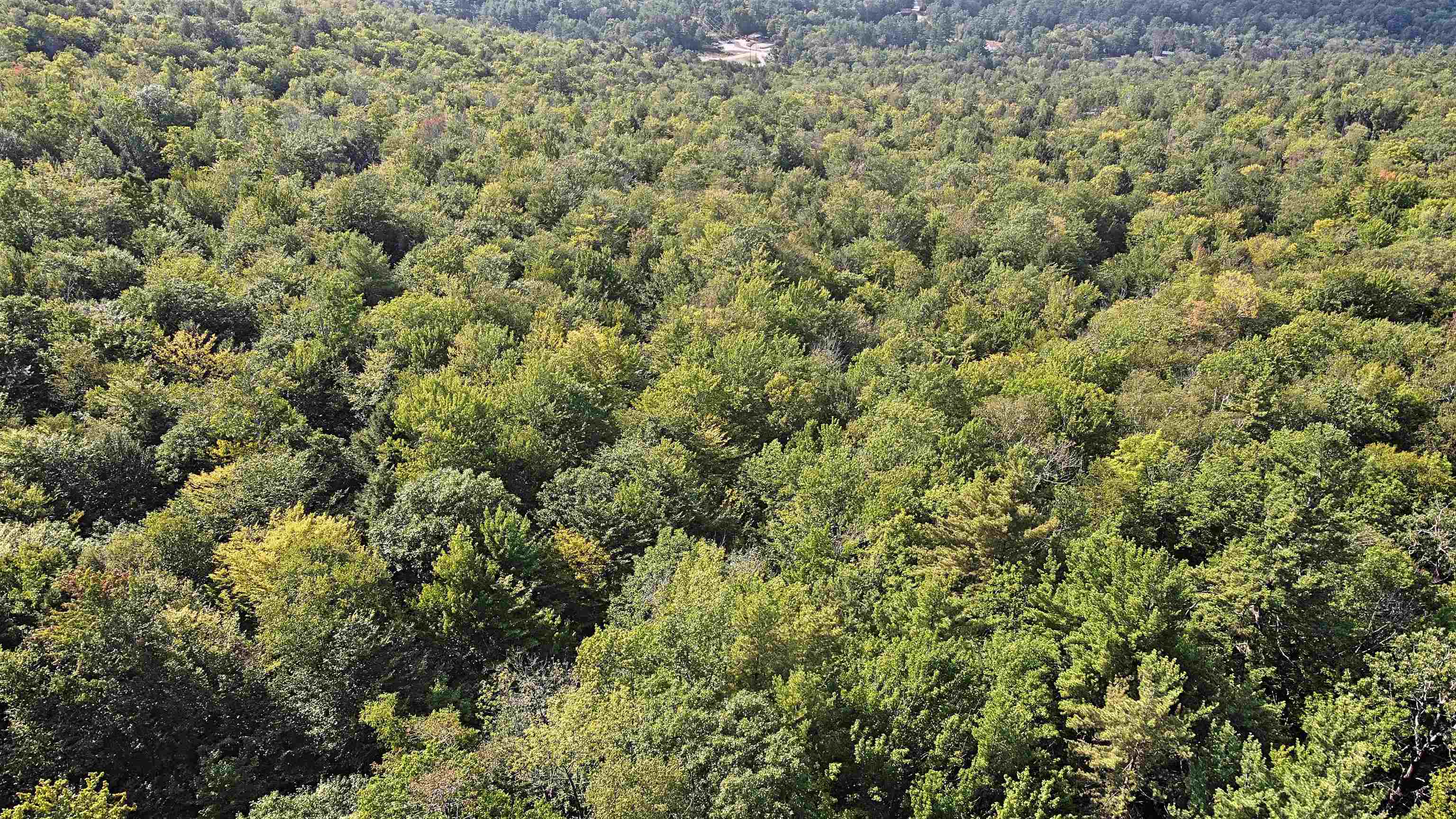 0 Twist Hill Road Andover, NH 03216 - Photo 10 of 12