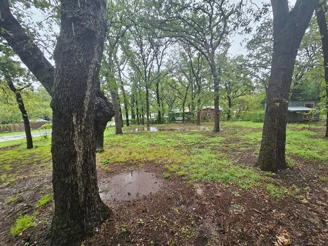 a big yard with lots of green space and trees