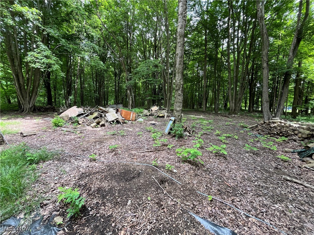 5264 Middle Road Conneaut, OH 44030 - Photo 5 of 17 View of nature
