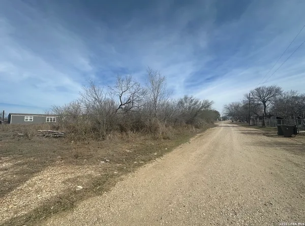 a view of a dry yard with trees