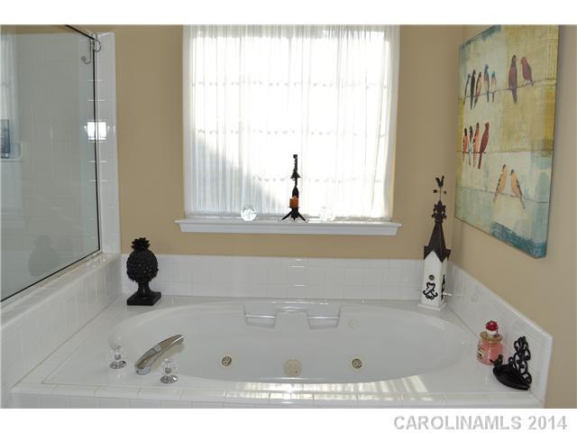 10919 Hellebore Road, Unit 89 Charlotte, NC 28213 - Photo 10 of 16 Gallery Image 10