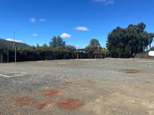 a view of backyard with green space
