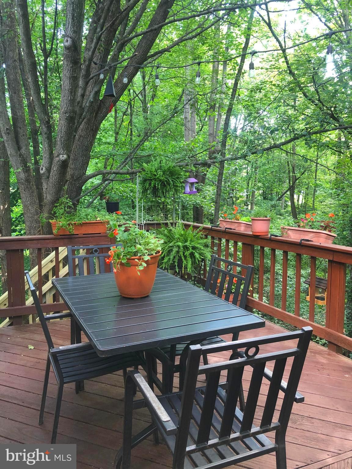 8715 Shadowlake Way Springfield, VA 22153 - Photo 18 of 56 Deck off Kitchen