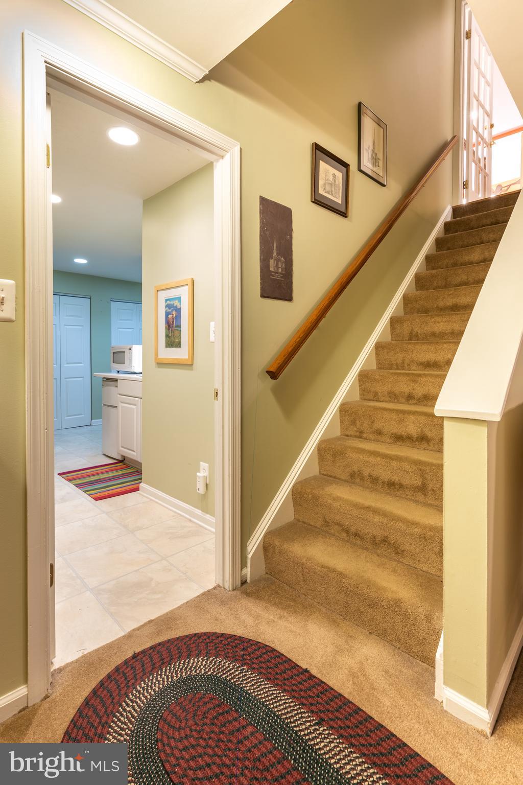 8715 Shadowlake Way Springfield, VA 22153 - Photo 46 of 56 Stairway from Main to Lower Lovel