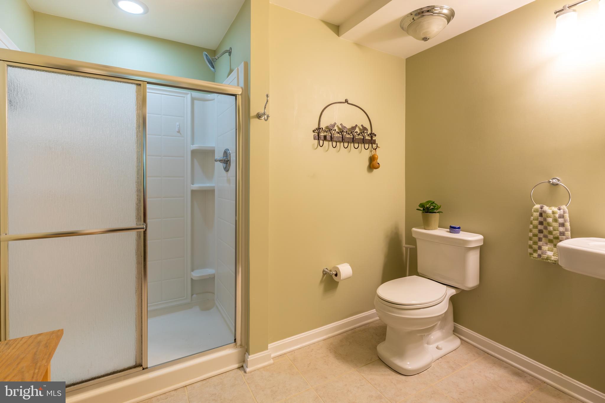 8715 Shadowlake Way Springfield, VA 22153 - Photo 51 of 56 Lower Level - Bath