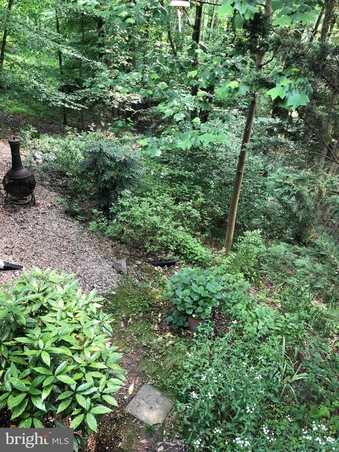 8715 Shadowlake Way Springfield, VA 22153 - Photo 56 of 56 Backyard Flower Garden