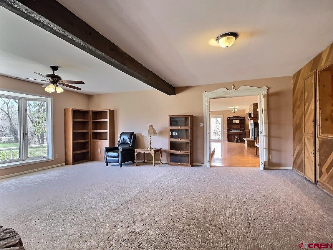 21007 Marion Road Eckert, CO 81418 - Photo 19 of 35