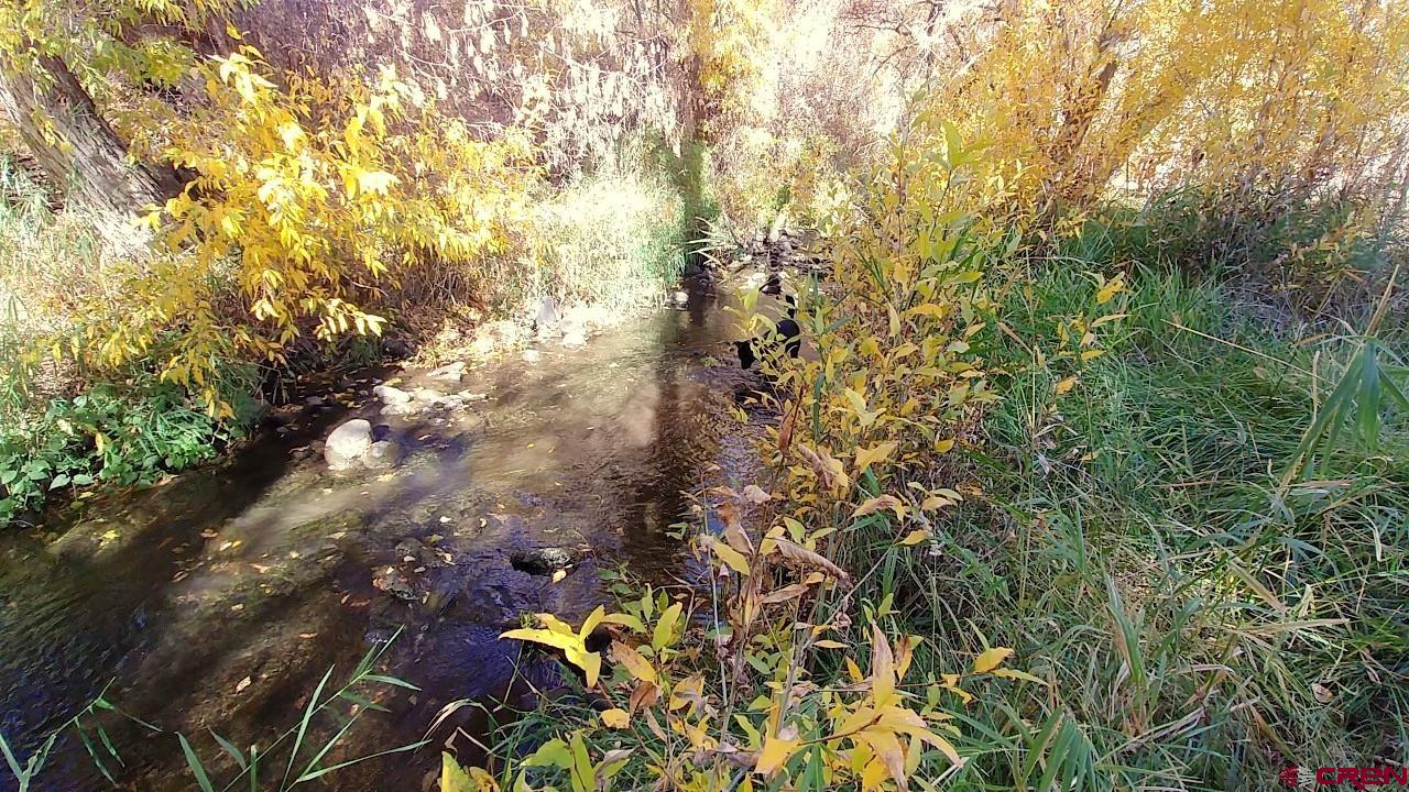 21007 Marion Road Eckert, CO 81418 - Photo 27 of 35