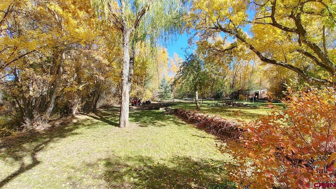 21007 Marion Road Eckert, CO 81418 - Photo 28 of 35