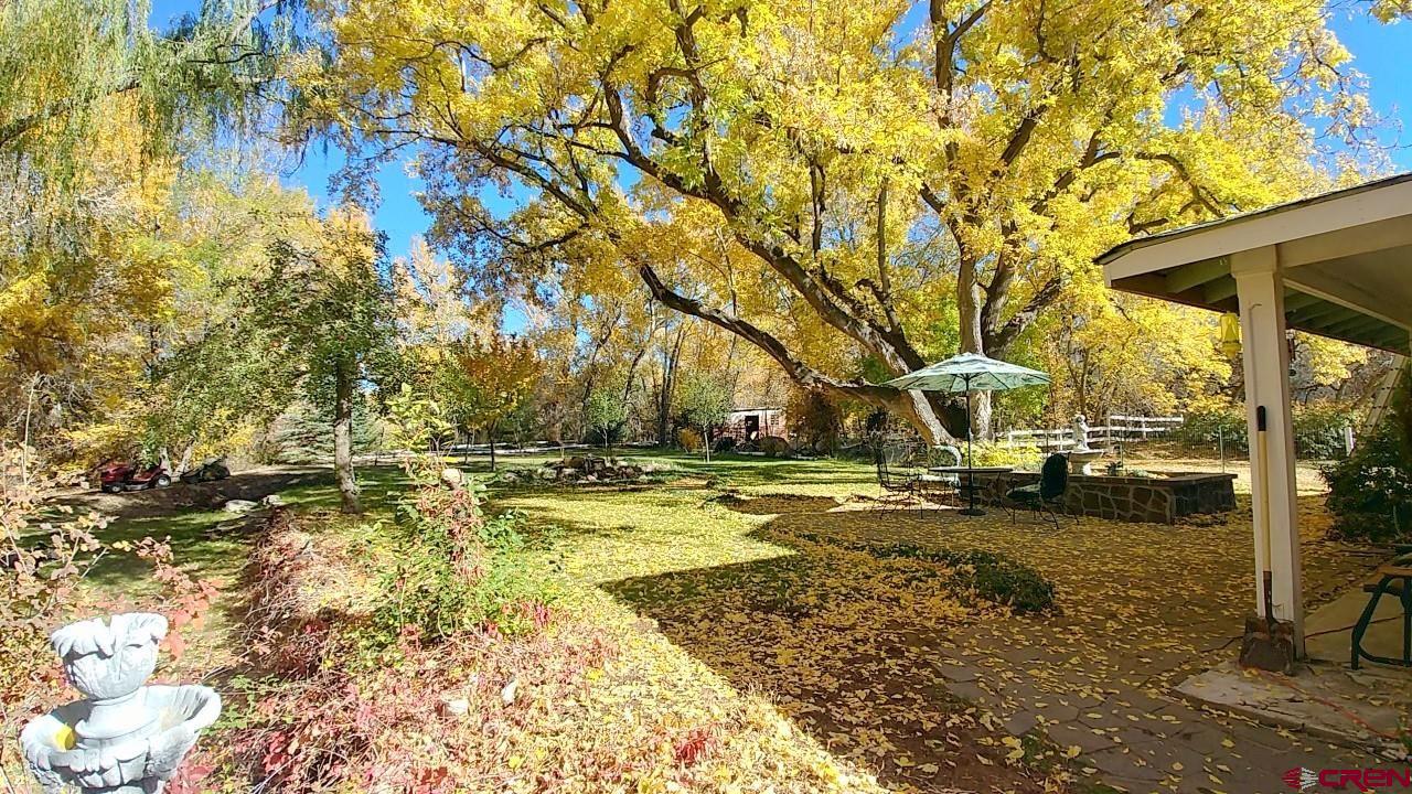 21007 Marion Road Eckert, CO 81418 - Photo 29 of 35