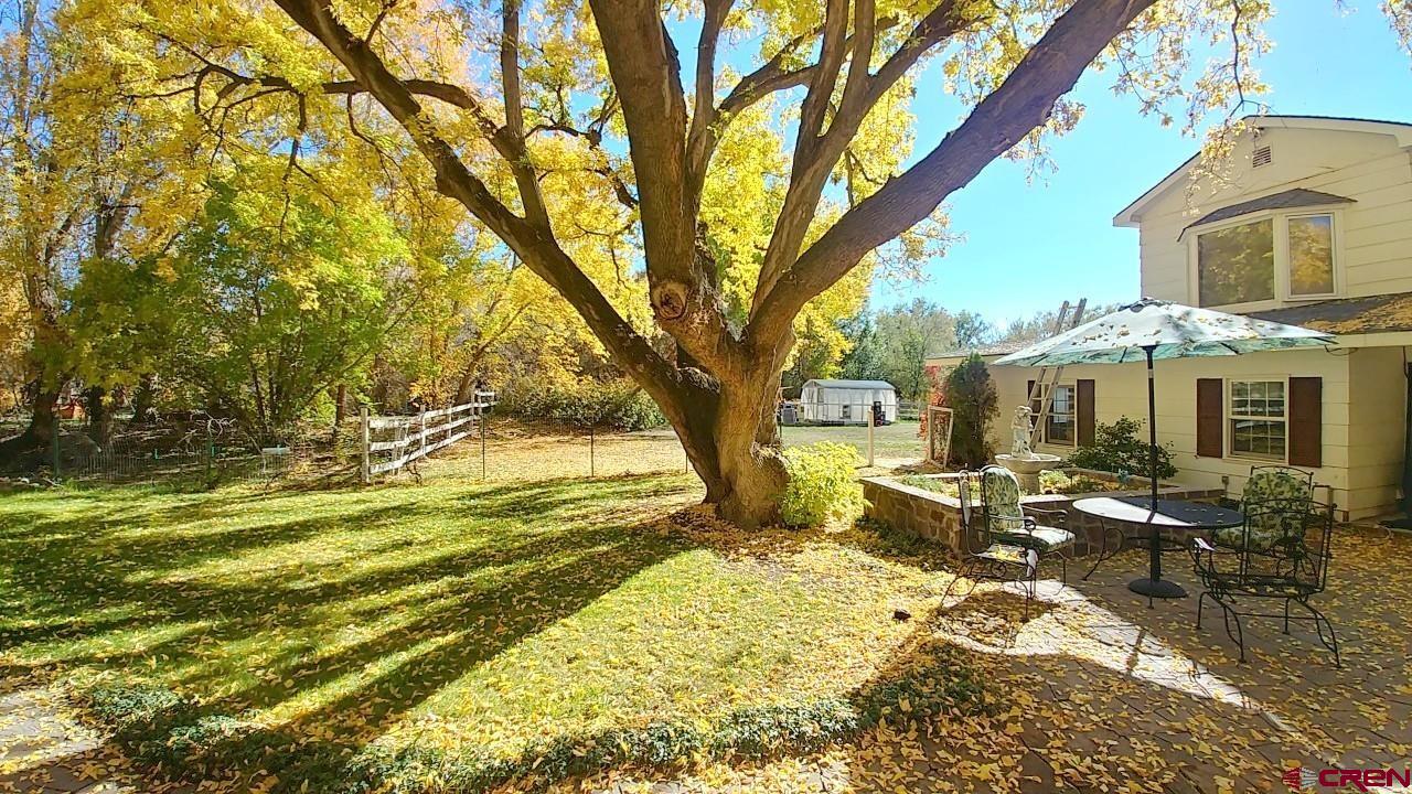 21007 Marion Road Eckert, CO 81418 - Photo 30 of 35