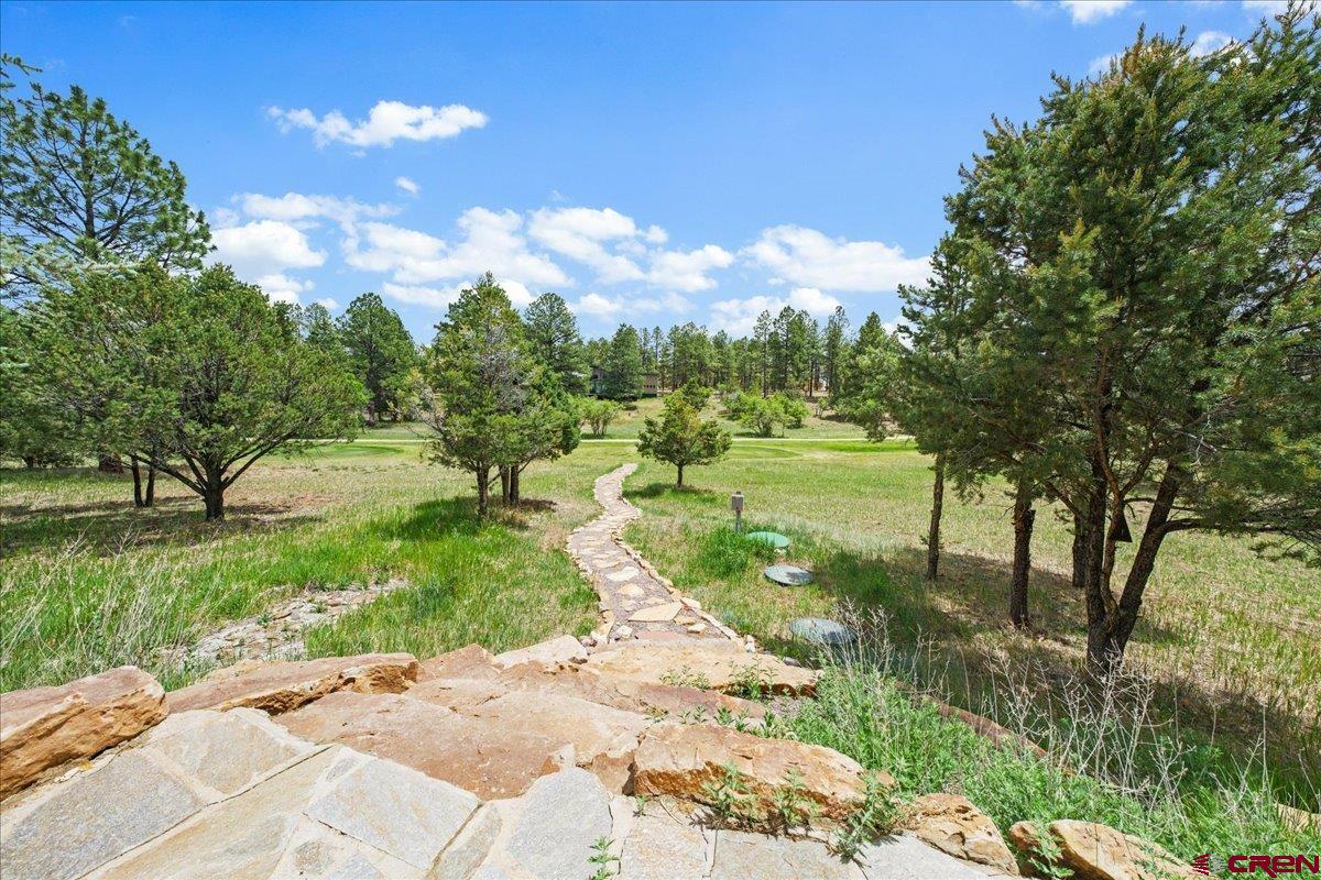 412 South Badger Trail Ridgway, CO 81432 - Photo 39 of 45