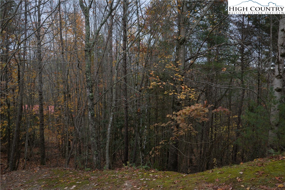 Lot 10 Talon Drive Boone, NC 28607 - Photo 2 of 11 a view of outdoor space and yard