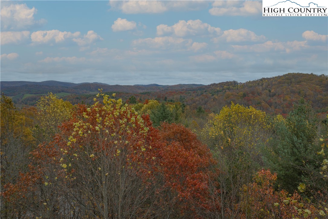 Lot 10 Talon Drive Boone, NC 28607 - Photo 3 of 11