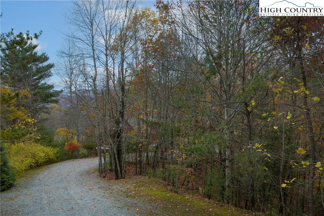 Lot 10 Talon Drive Boone, NC 28607 - Photo 4 of 11 a view of a forest with trees