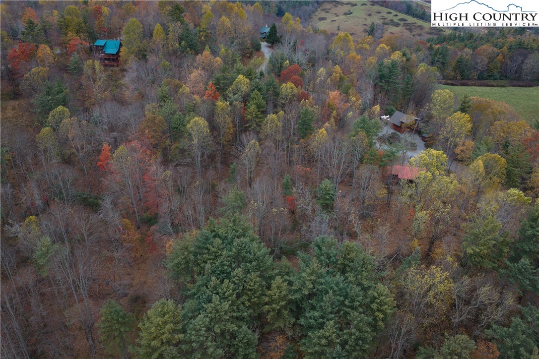 Lot 10 Talon Drive Boone, NC 28607 - Photo 10 of 11 a view of a forest with a yard