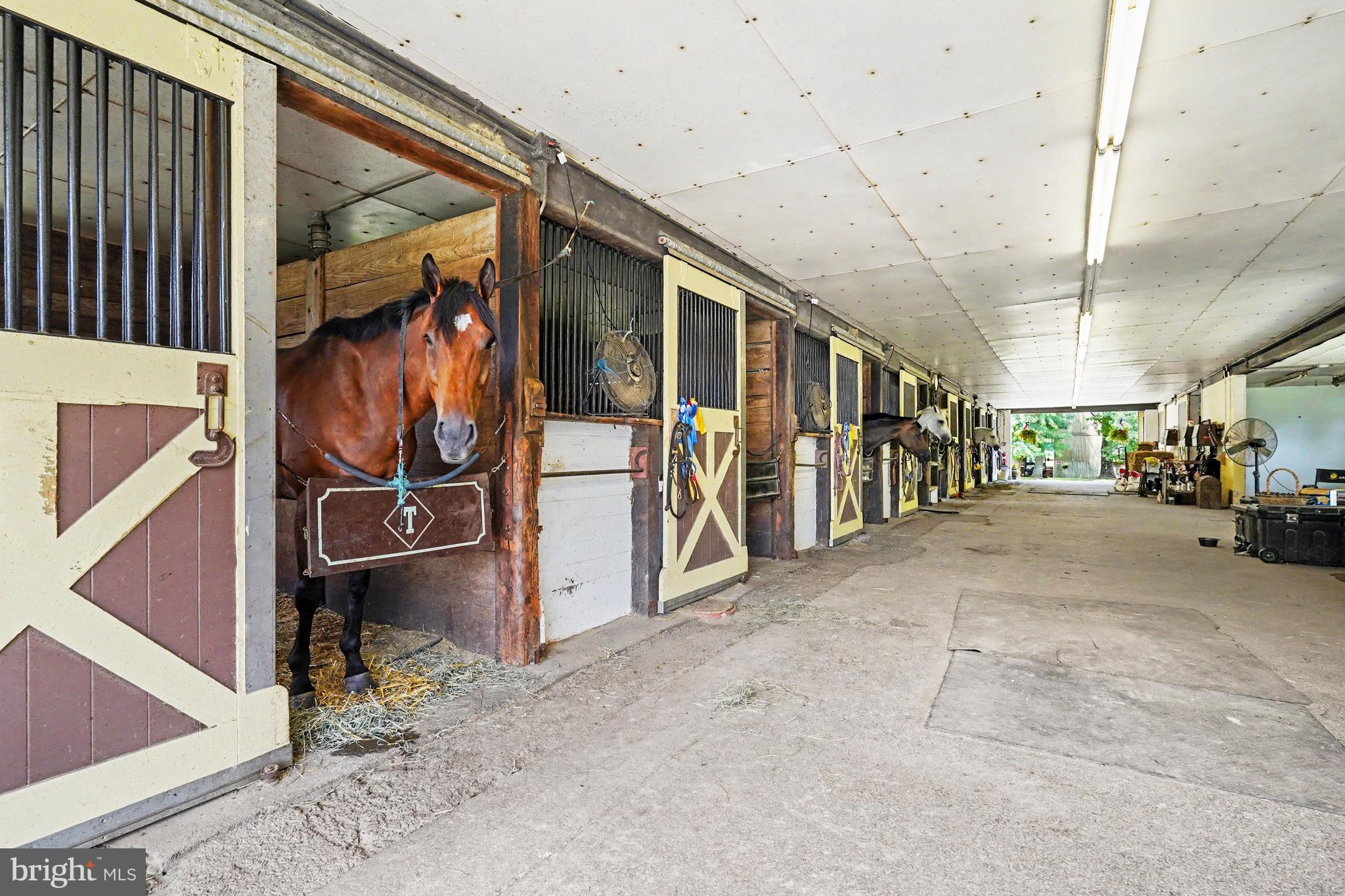 416 Mitton Road Warwick, MD 21912 - Photo 49 of 70 Gallery Image 49