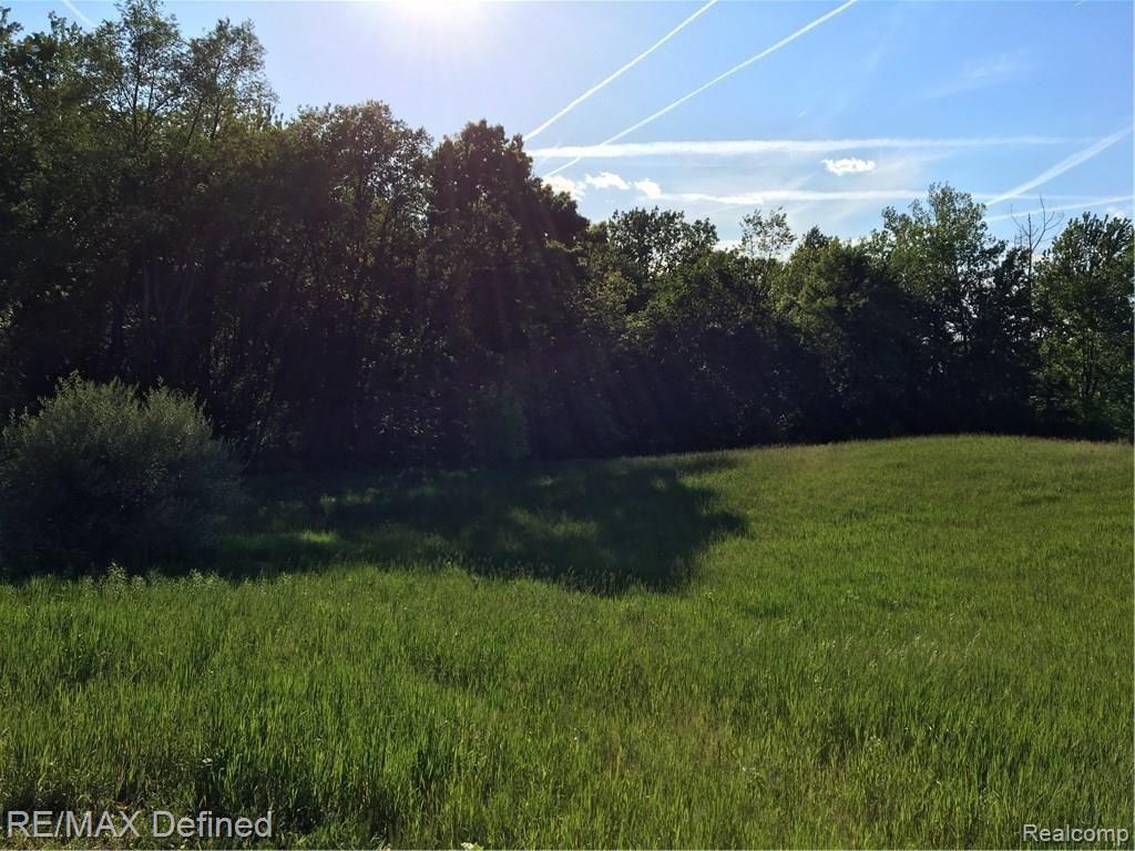 Parcel H East Rattalee Lake Road Holly, MI 48442 - Photo 1 of 13
