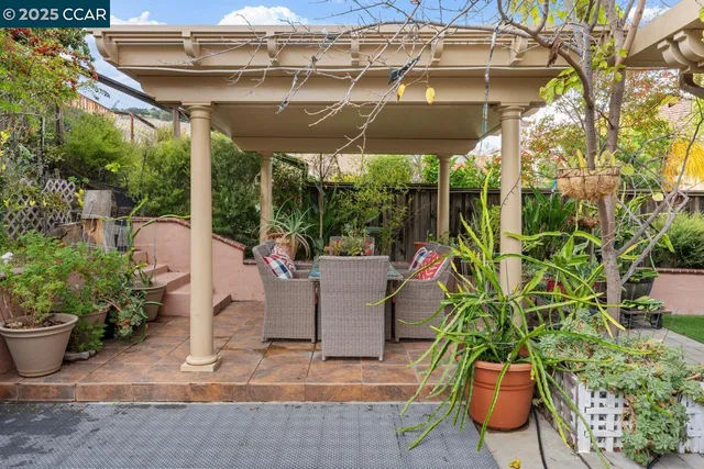 a view of a park with large trees