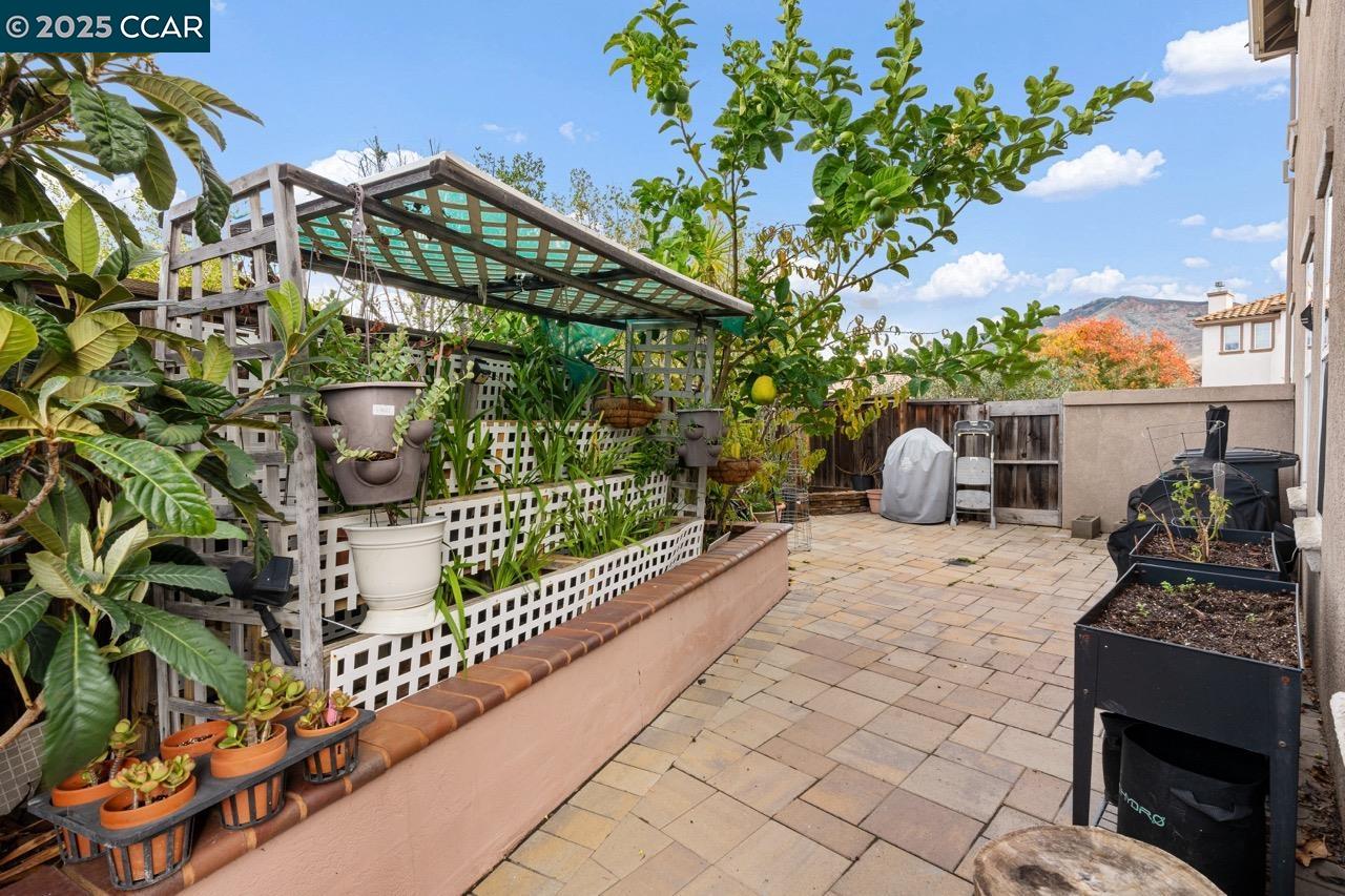 995 Rosehedge Court Concord, CA 94521 - Photo 51 of 60
