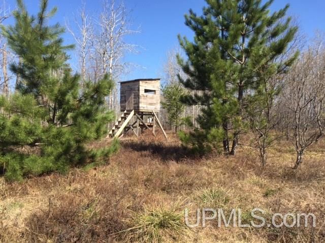 Tbd Tbd Off Co Road Ishpeming, MI 49849 - Photo 9 of 17