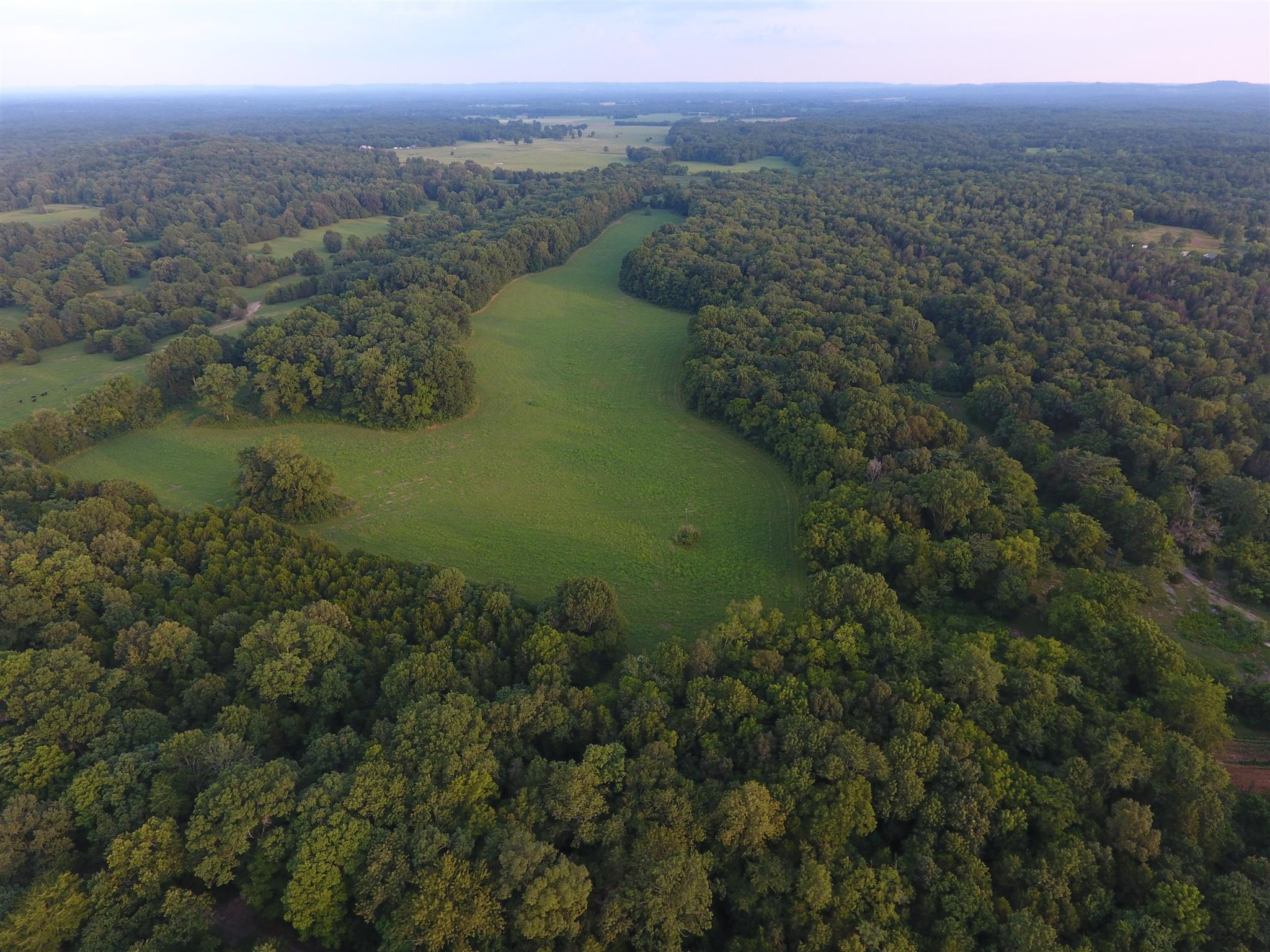 0 Lebanon Road Lewisburg, TN 37091 - Photo 1 of 9 Gallery Image 1