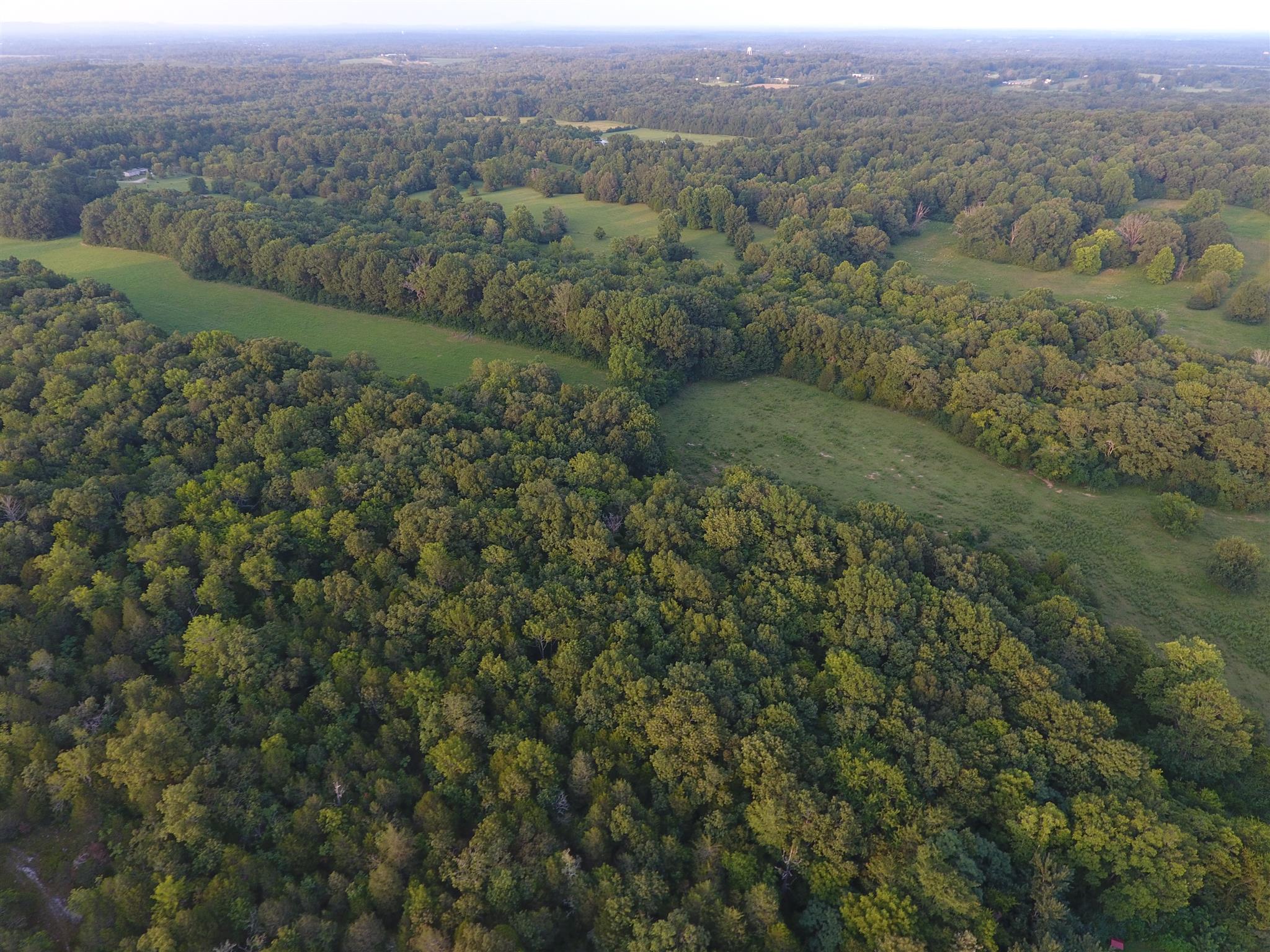 0 Lebanon Road Lewisburg, TN 37091 - Photo 2 of 9 Gallery Image 2