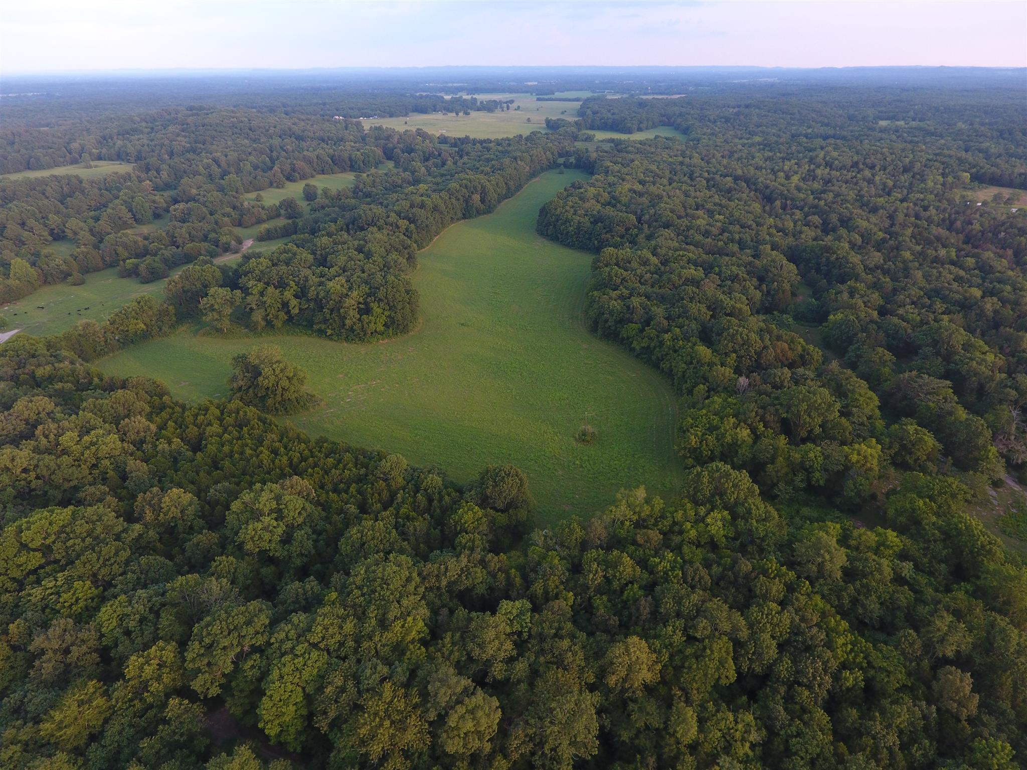 0 Lebanon Road Lewisburg, TN 37091 - Photo 3 of 9 Gallery Image 3