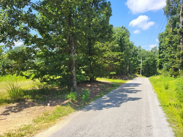 $65,000 | 0 Strawberry Gables, Holladay, TN 38341