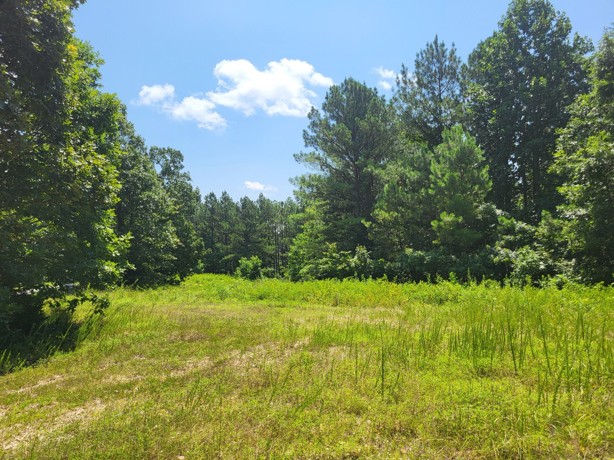 0 Strawberry Gables Holladay, TN 38341 - Photo 3 of 5