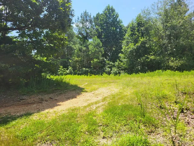 $65,000 | 0 Strawberry Gables, Holladay, TN 38341