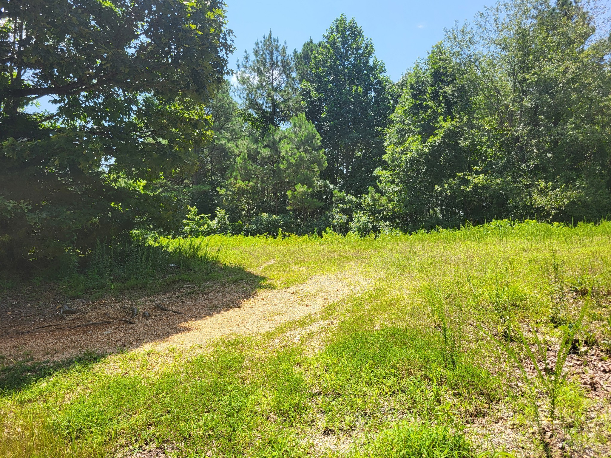 0 Strawberry Gables Holladay, TN 38341 - Photo 4 of 5