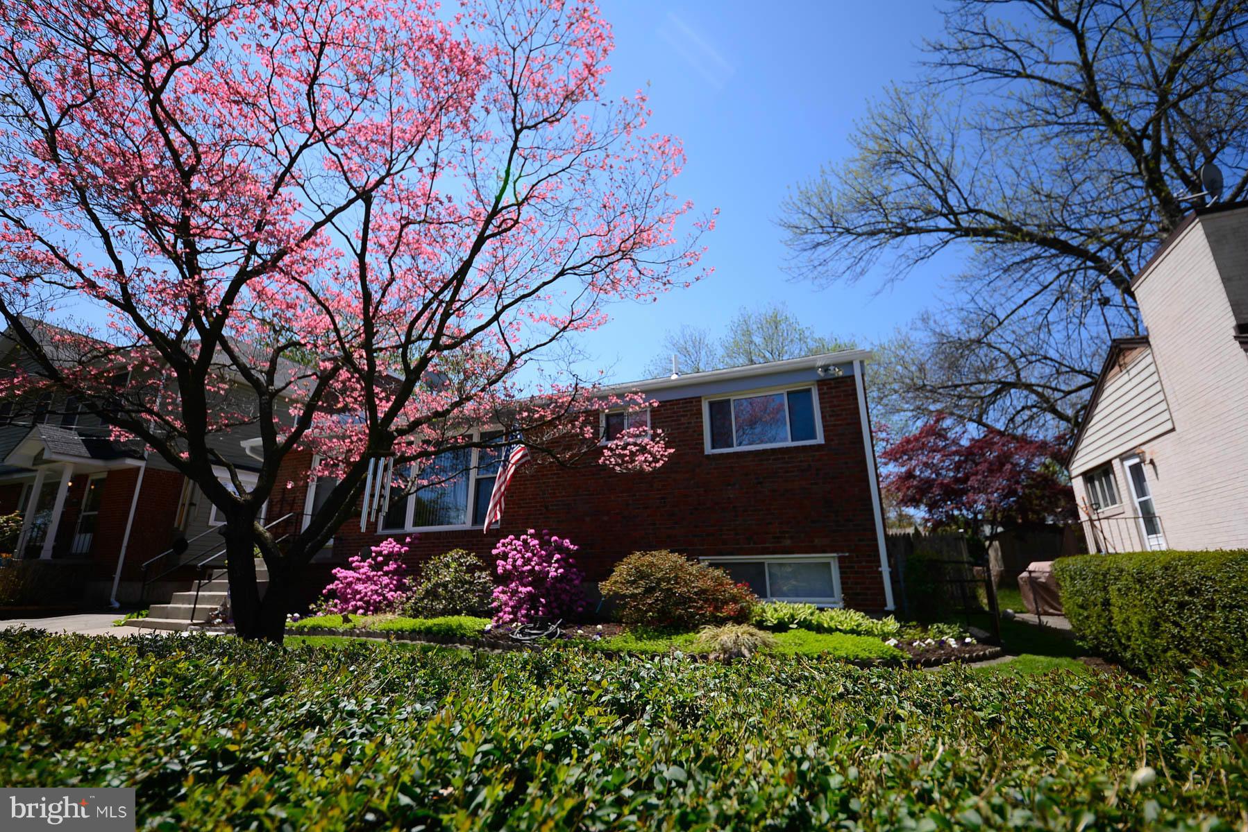 10212 Duvawn Place Silver Spring, MD 20902 - Photo 25 of 25 Exterior (Front)