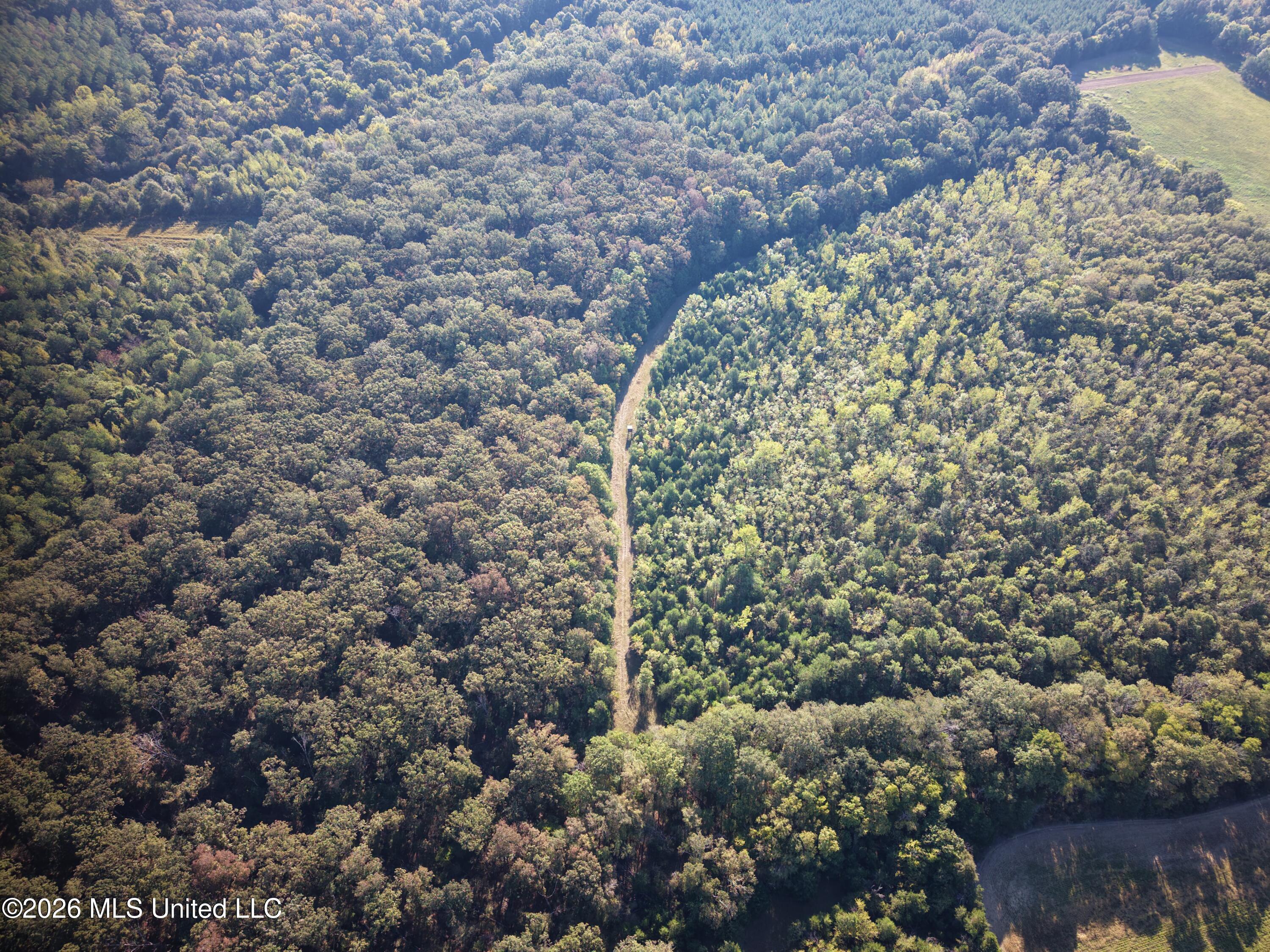 Mcallister Road Aberdeen, MS 39730 - Photo 15 of 18 dji_fly_20260930_090318_0018_17907772685