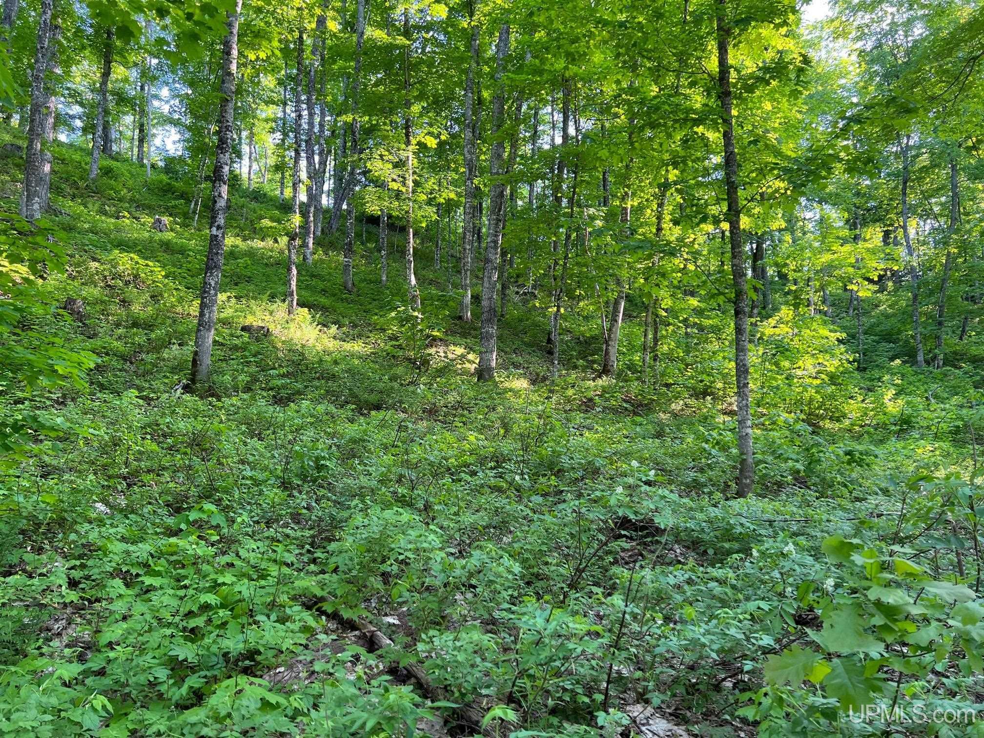 Tbd359 Tbd359 Aaa Road Big Bay, MI 49808 - Photo 23 of 36