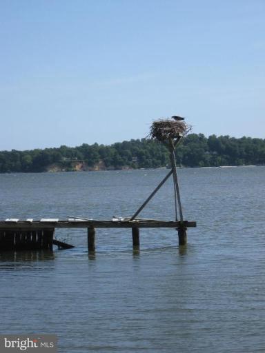9450 River View Road Broomes Island, MD 20615 - Photo 16 of 22 Exterior #5