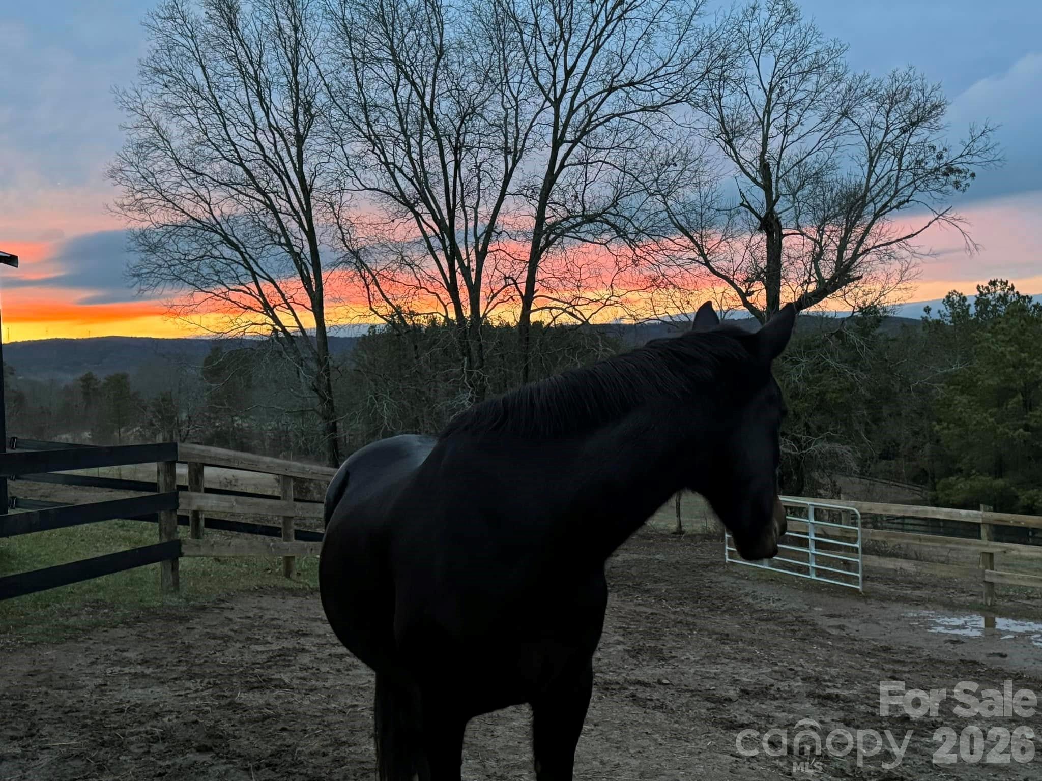 319 Hopewell Road Ellenboro, NC 28040 - Photo 35 of 37