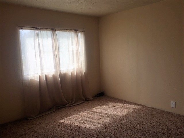 20815 North Saddler Road Colbert, WA 99005 - Photo 8 of 15